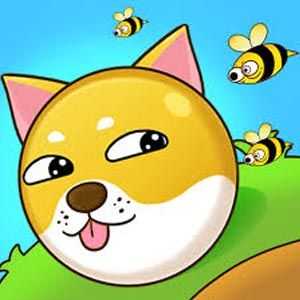 Save The Doge game